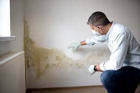 Best Mold Damage Restoration  in Irwindale, CA